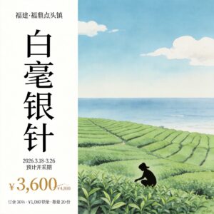 202609142027248c9647703 First Flush Pre-order | Fuding Diantou Baihao Yinzhen · First Flush Premium 500g Gift Box